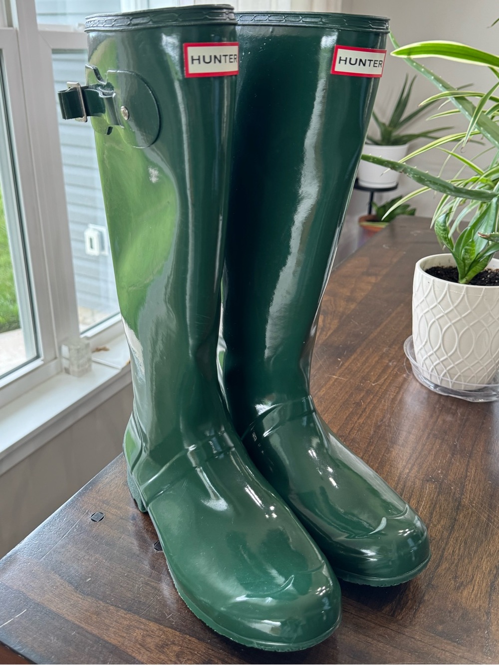 Hunter Tall Gloss Rain Boots in hunter green size 10